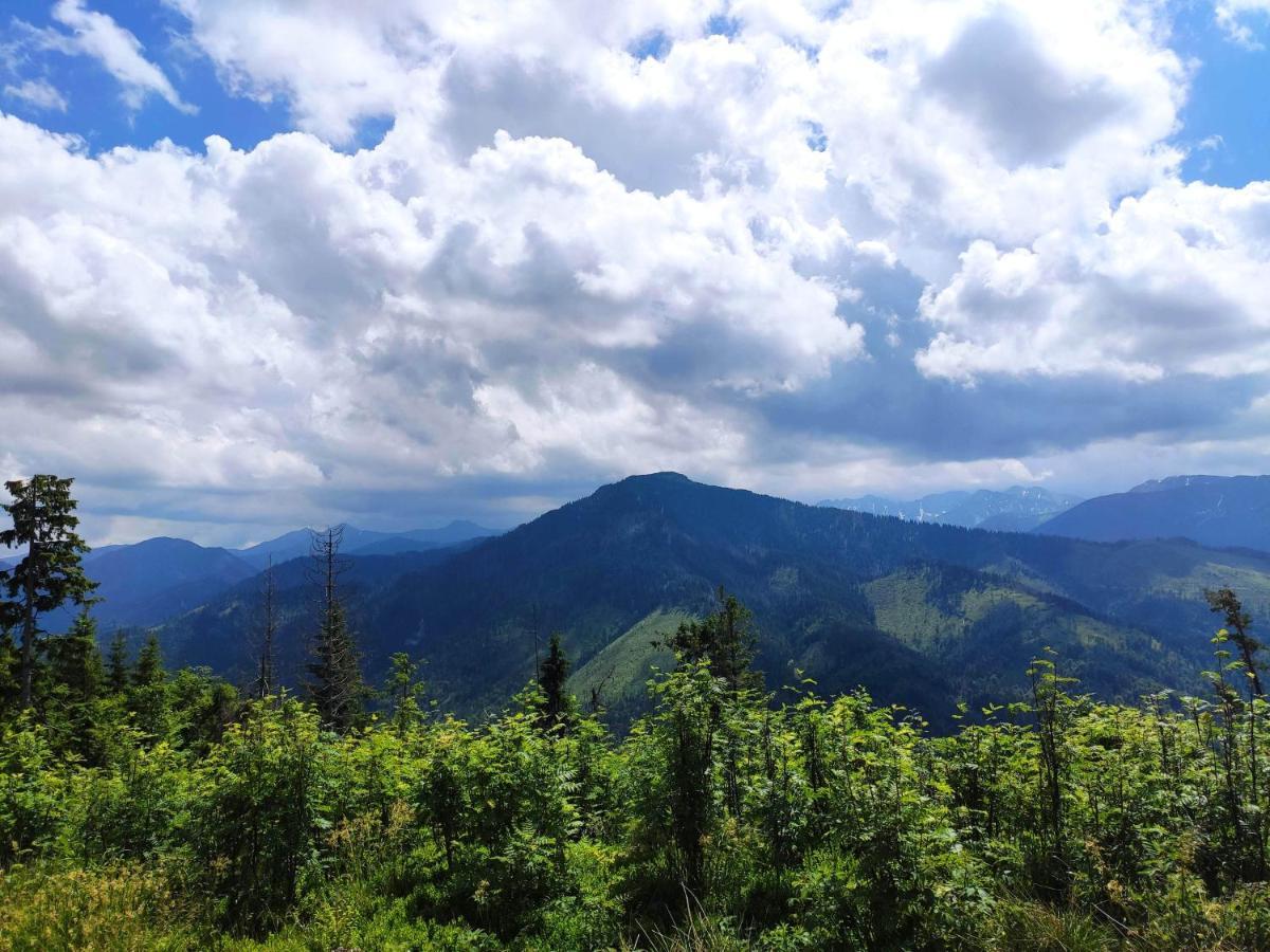 Apartamento Western Tatras Slovakia Oravsky Biely Potok Exterior foto